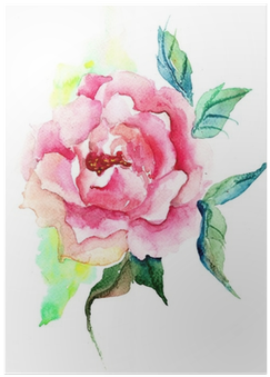 Beautiful Roses Flowers, Watercolor Painting Poster - Watercolor Painting (400x400), Png Download