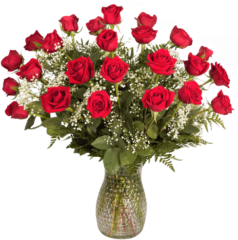 Two Dozen Long-stemmed Rose Arrangement • $89 - Dozen Red Roses (500x611), Png Download