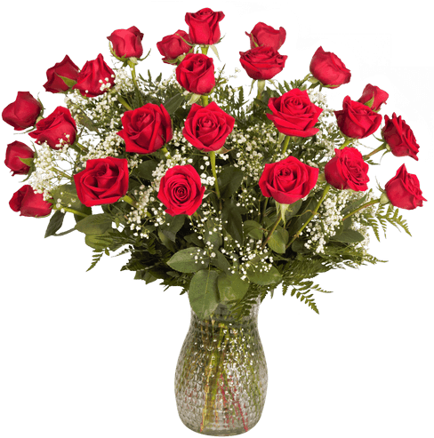 Download Two Dozen Long Stemmed Rose Arrangement 89 Dozen Red Roses Png Image With No Background Pngkey Com