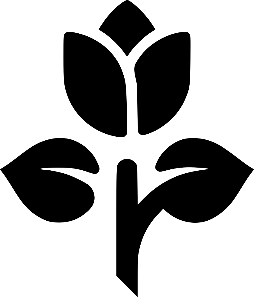 Tulip Rose Flower Plant Comments - Flower (840x980), Png Download