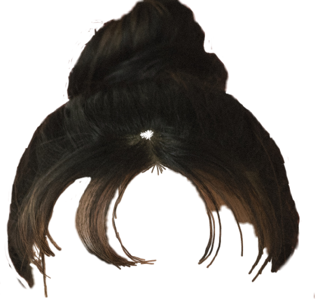 Download Hair Hairstyle Updo Bun Messy Bun Head Style Bun Png