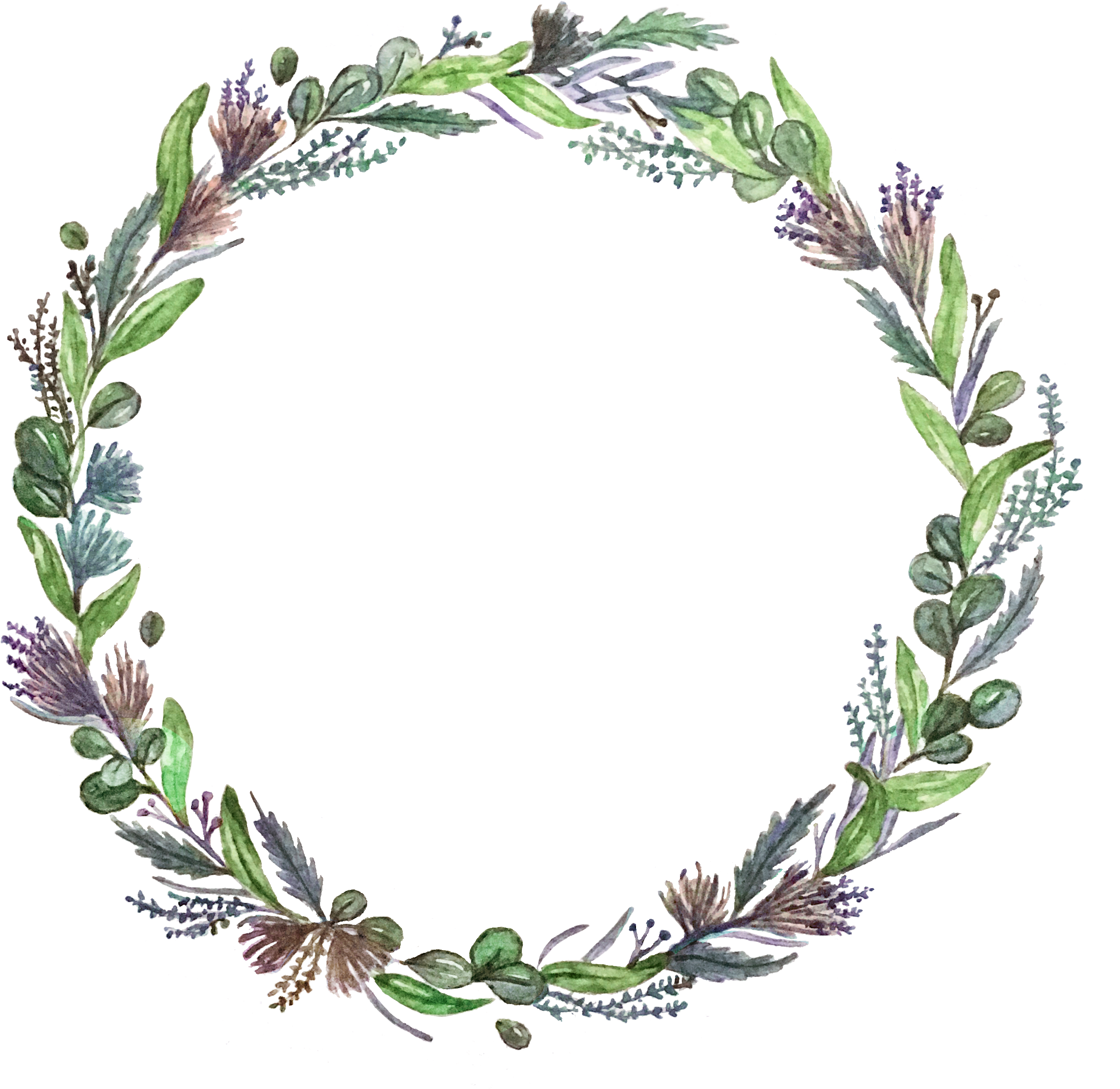 Floral Illustration (3024x2768), Png Download