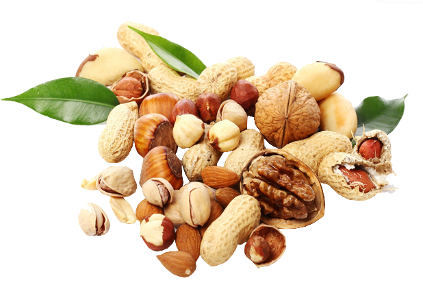 Dryfruits Sourced From Best Origins From All Parts - Gesund Mit Nüssen By Gabriele Schwarz 9783776627015 (618x438), Png Download