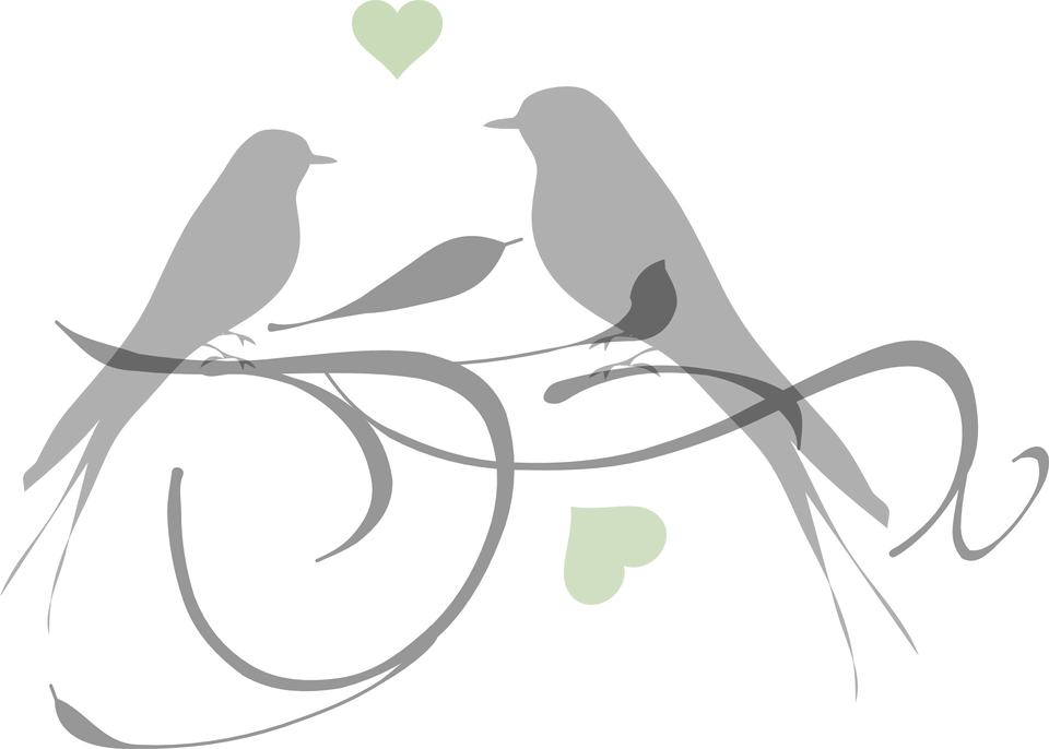 Resultado De Imagem Para Silhueta Passaro Png Free - Love Clipart Black And White (960x686), Png Download
