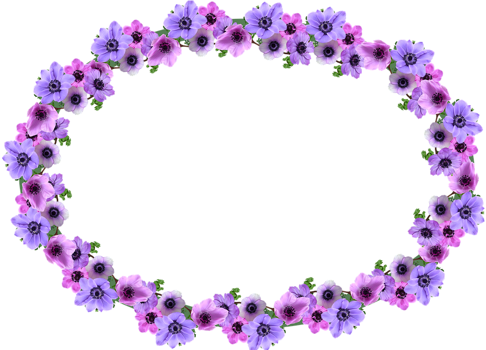 Frame, Border, Anemone, Oval, Decoration - Stock.xchng (960x685), Png Download