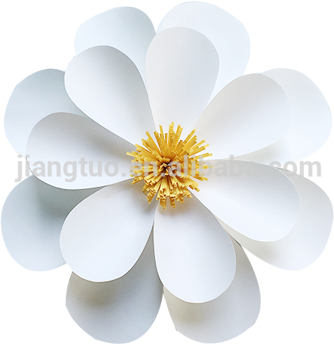 Zinnia (800x800), Png Download