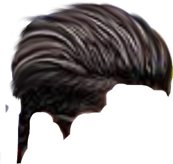 Cb Hair Png - Kilometre (480x600), Png Download