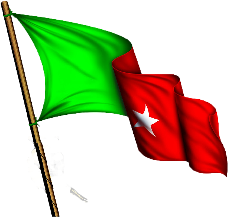 Sdpi Flag - Sdpi Logo (800x775), Png Download