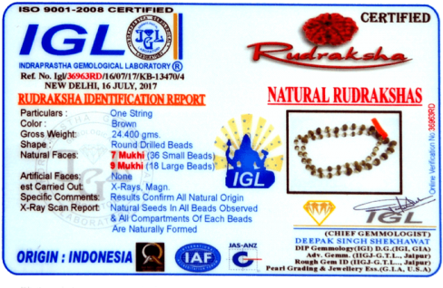 Rudraksha Mala Png (500x500), Png Download