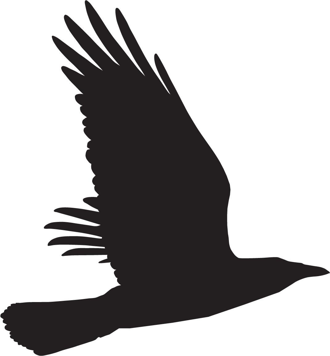 Buzzard (1167x1167), Png Download