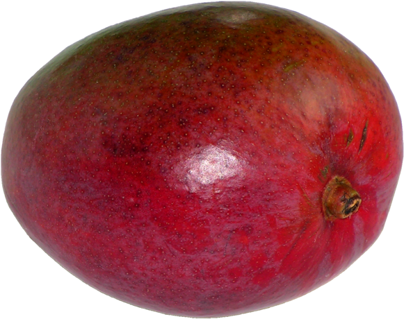 Mangifera Indica20100405 23 - Crimson Gold (799x600), Png Download