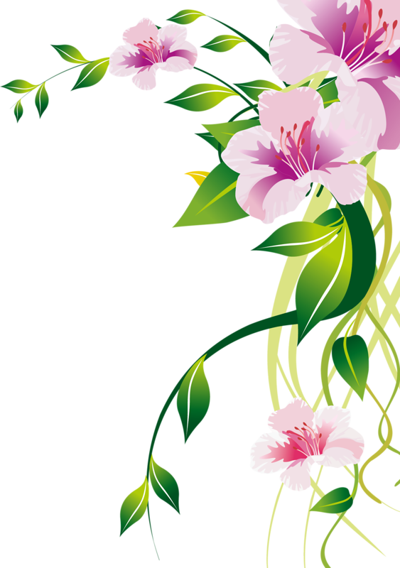 Pin By Francesca Crosio On Borders Paper Frame Invitation - Flowers Frame (563x800), Png Download