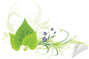 Birch Leaves, Flowers With Grass And Decorative Ornament - Leaves Of Grass (400x400), Png Download