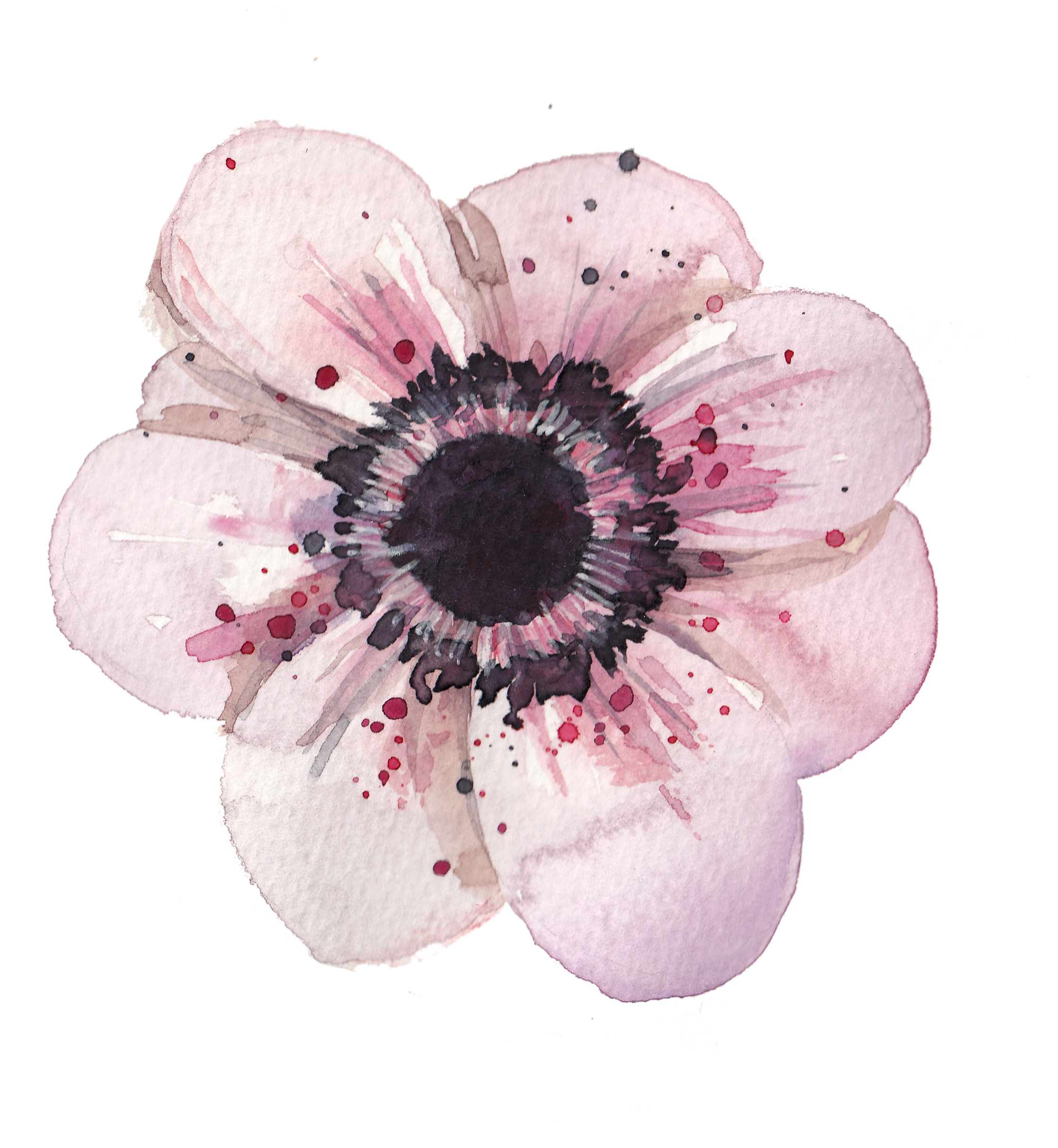 Poppies Vector Illustration - Energy Therapy (2238x2429), Png Download