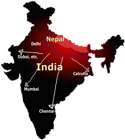 India Is The Destination Of Thousands Of Trafficked - 2009 Flu Pandemic In India (452x522), Png Download