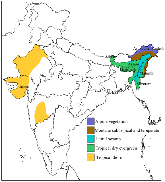 Expert Answer - > - Stock Illustration (580x640), Png Download