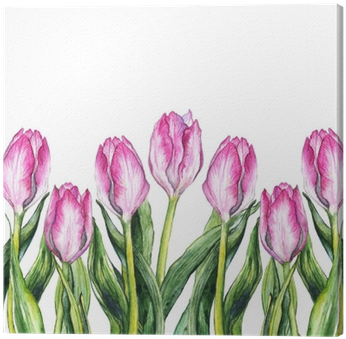 Watercolor Pink Tulip Flower Nature Border Frame Canvas - Watercolor Painting (400x400), Png Download