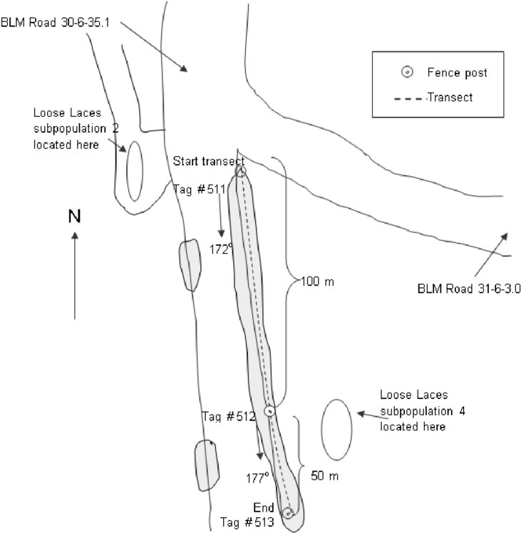 Approximate Subpopulation Border Is Shaded - Diagram (850x796), Png Download
