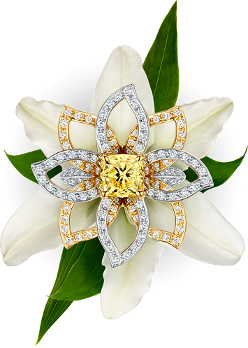 Jewellery Design Hidden Beauty - Png Transparent Jewellery Flowers (355x498), Png Download