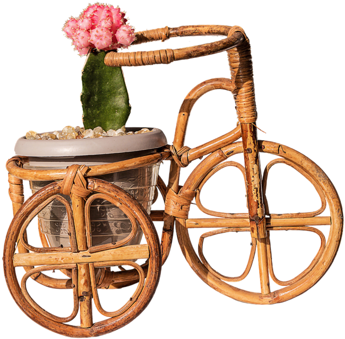 Photo Of Tripura, India By Gunjan Upreti - Bicycle (960x840), Png Download