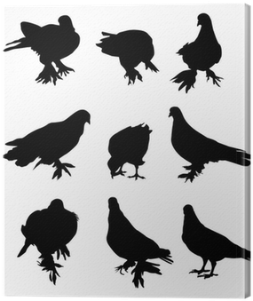 Vector Graphics (400x400), Png Download