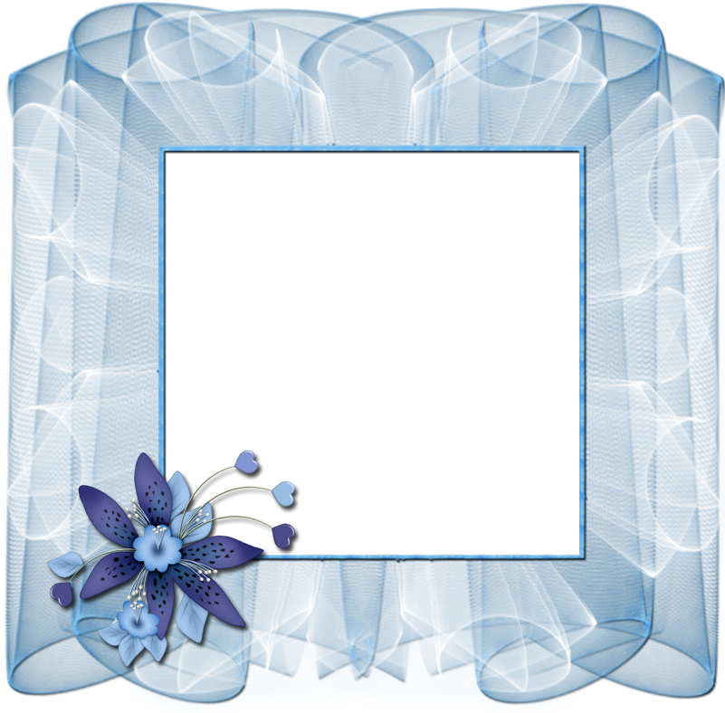 Beautiful Transparent Blue Frame With Flower Gallery - Blue Flower Transparent Frame (800x800), Png Download