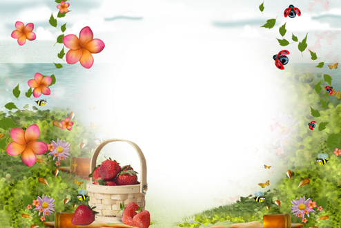 Frame Background, Page Borders, Borders And Frames, - Nyári Képkeret (494x330), Png Download