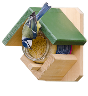 Peanuts Are Naturally High In Calories And When Blended - Nut Butter Bird Feeder (363x376), Png Download