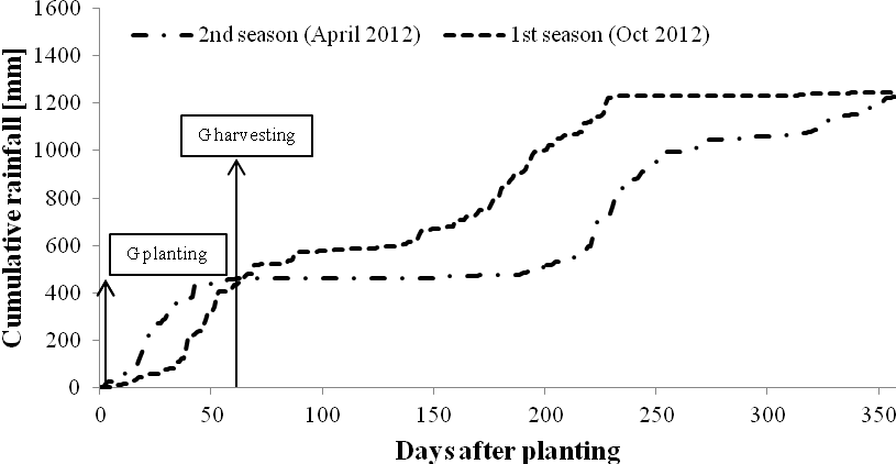 Cumulative Rainfall During The Experimental Period - Cassava+ Nutrient Uptake+ Growth Stage (815x422), Png Download