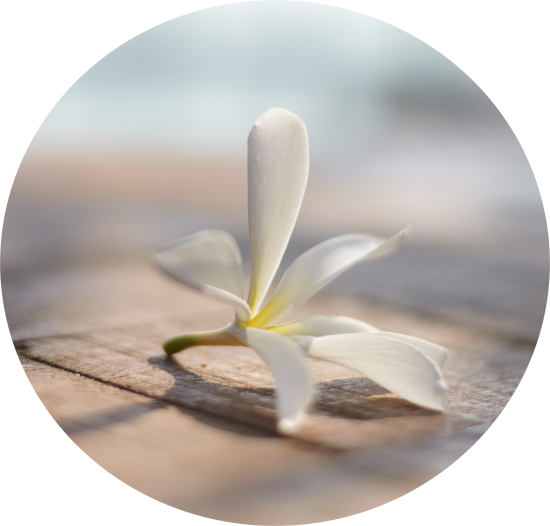 Hablis Hotel Chennai Chennai Hablis Hotel Luxury Hotel - Hablis Hotel (550x526), Png Download