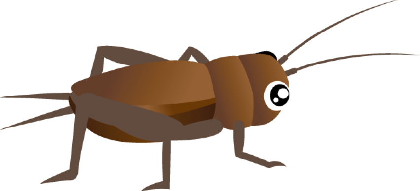 Clipart Png Cricket - Cricket Clipart Insect (851x388), Png Download