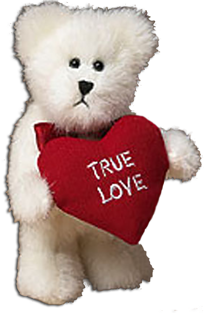 Boyds True Love White Teddy Bear - Plush (671x1007), Png Download