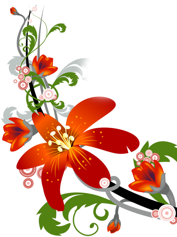 Lace Clipart Magic Flower - Natural Or Realistic Design (565x800), Png Download