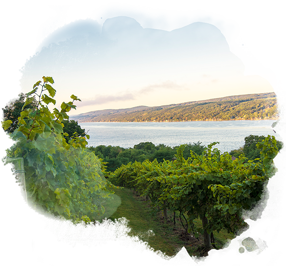 Lodging Restaurants - Keuka Lake (585x544), Png Download