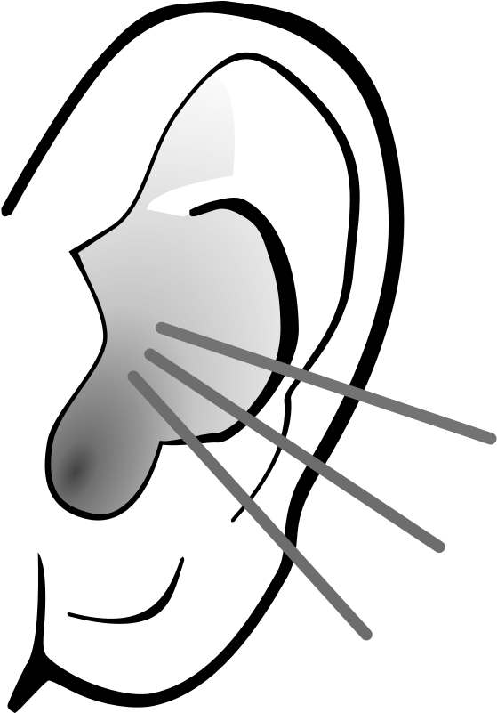 Listening Ear Clipart - Black And White Ears Png Clipart (800x800), Png Download