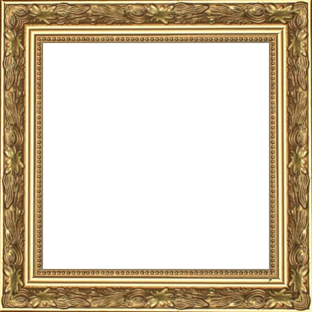 Wedding Golden Border Png Gold Frame Png Posted By - 20 X 30 Frame Gold (456x456), Png Download