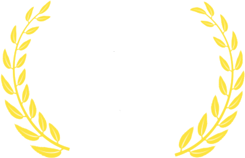Worldwide Womens Film Festival Best Editing - Film Festival (870x568), Png Download