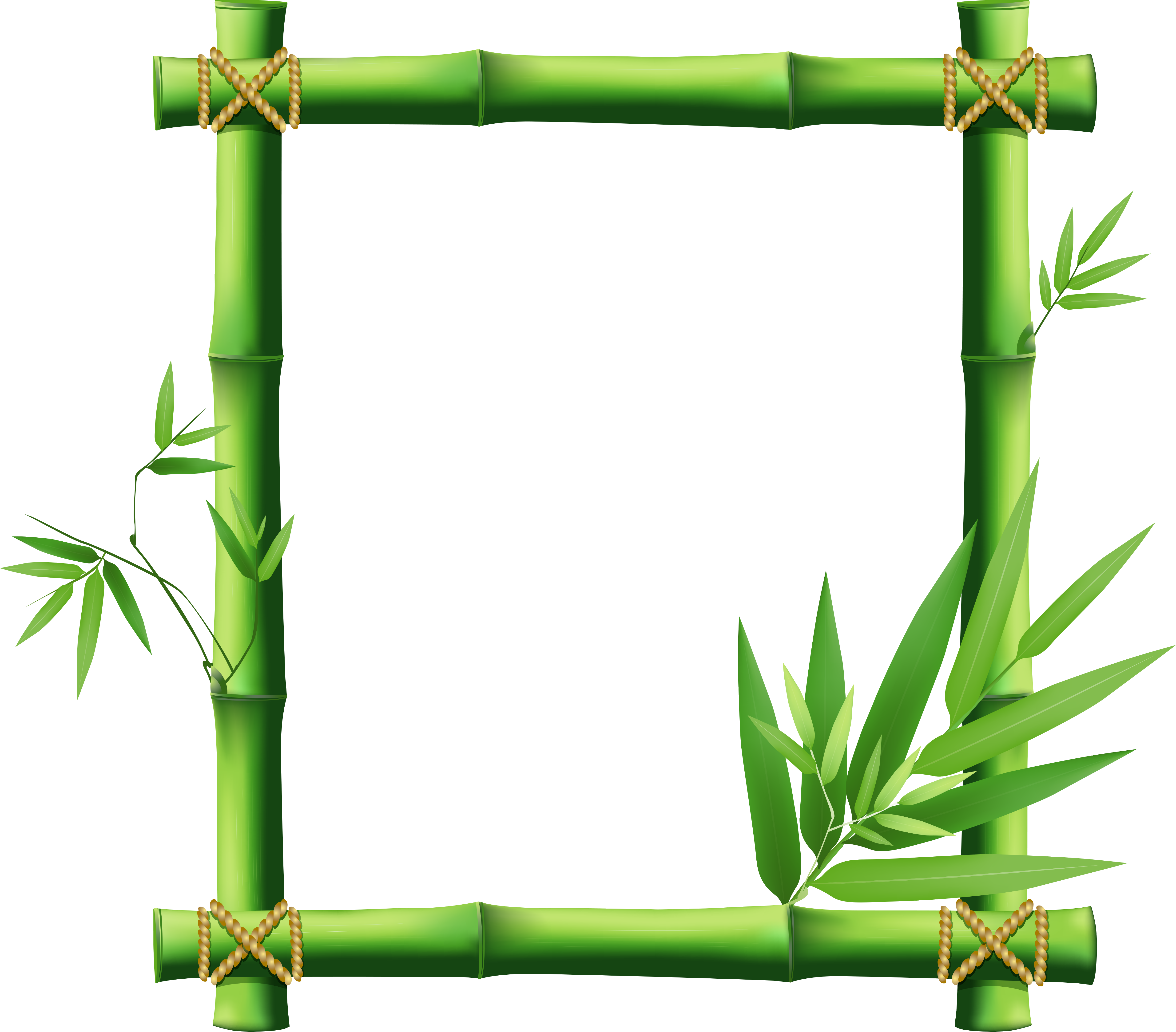 0 E928e 60c98e38 Orig - Bamboo Border Png (5000x4390), Png Download