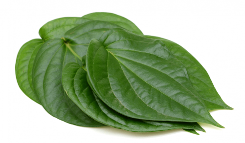 Betel - Betel Leaf Png (500x500), Png Download