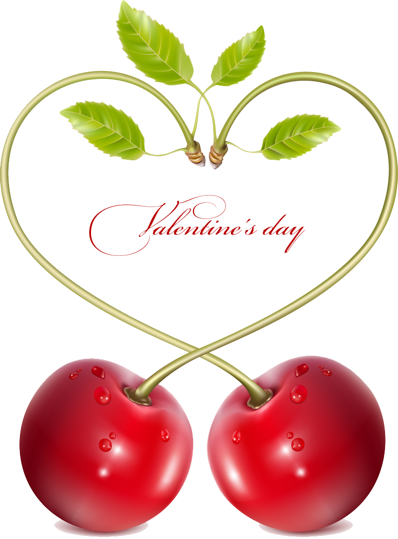 Image - Cherry Vector Free Download (800x1083), Png Download