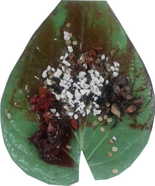 Paan (500x600), Png Download