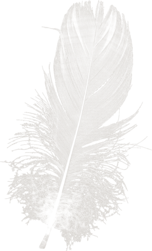 Thaliris Unepoesiededouceur El02 - Illustration (487x800), Png Download