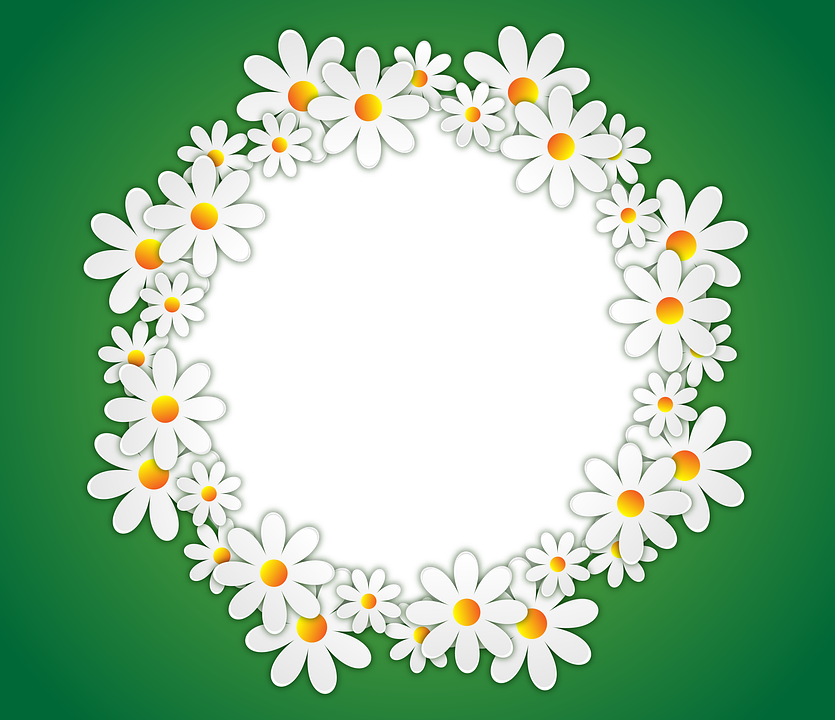 Download Text Box Design Frame Transparent Download - Circle Flower  Transparent Background PNG Image with No Background 