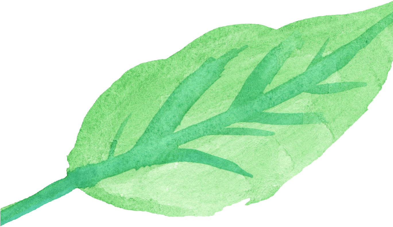 15 Watercolor Leaves Png For Free Download On Mbtskoudsalg - Watercolor Leaf Leaf Transparent (1368x855), Png Download