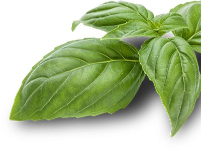 Your Pestonality Is - Cabbage (400x302), Png Download