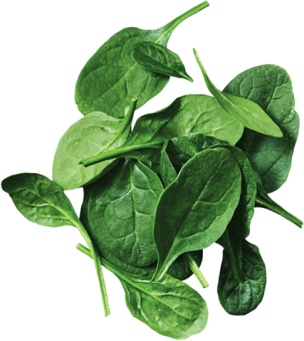 Located Right In The Shopping Center Les Rivières, - Spinach (427x479), Png Download