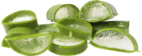 Frsh Organic Aloe Vera - Decolorized Aloe Vera (561x220), Png Download