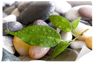Pebble (400x400), Png Download
