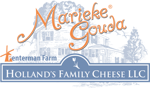 Marieke-gouda - Calligraphy (500x355), Png Download