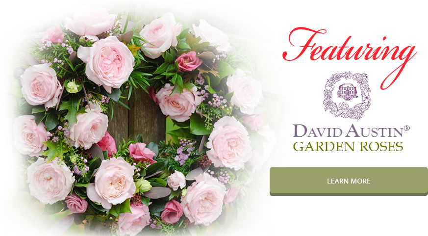 If You Want To Bring A Wow Factor To Your Next Event, - 101 Simple Secrets To Keep Your Faith Alive [book] (960x480), Png Download